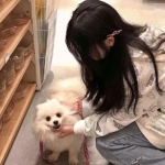 幻想仙侠手机版下载